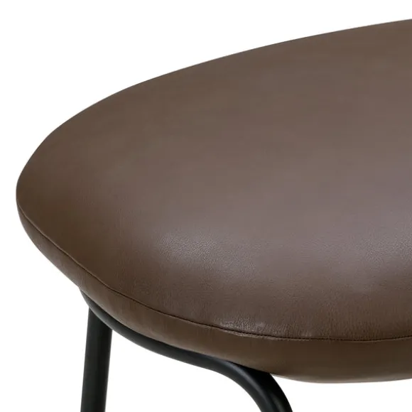 Aloe Stool