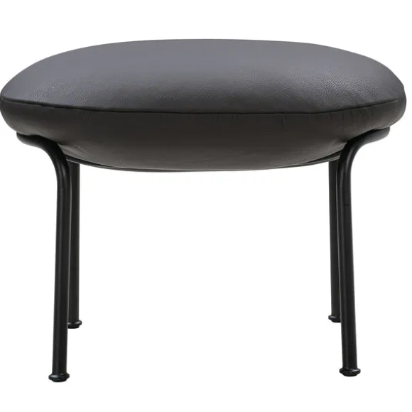 Aloe Stool