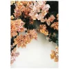 Bougainvillea Print