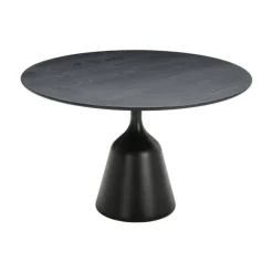Coin Dining Table