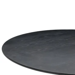 Coin Dining Table