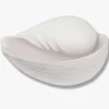 Conch Shell