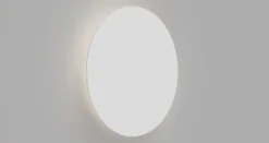 Contour Wall/Ceiling Light