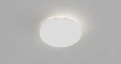 Contour Wall/Ceiling Light