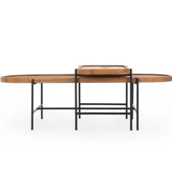 dBodhi Coco Oval Coffee Table - Set of 2 with Tray