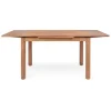 dBodhi Dino Rectangular Extendable Dining Table