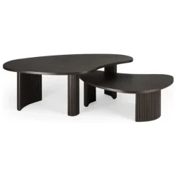 Ethnicraft Mahogany Boomerang Coffee Table