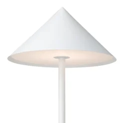 Flor Desk Lamp