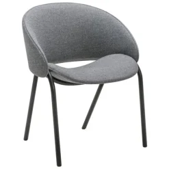 Folium Dining Chair