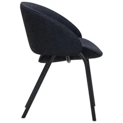 Folium Dining Chair
