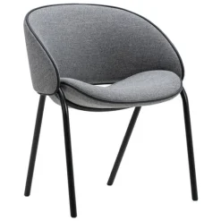 Folium Dining Chair with Leather Piping