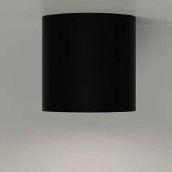 Illumine Ceiling Light