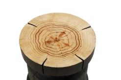 In The Flesh Side Table 5