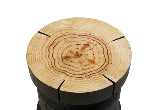 In The Flesh Side Table 5