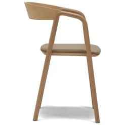 Inlay Dining Chair