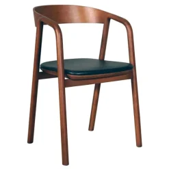 Inlay Dining Chair