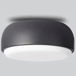 Over Me Wall/Ceiling Light