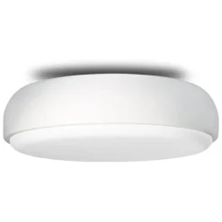 Over Me Wall/Ceiling Light