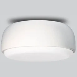 Over Me Wall/Ceiling Light