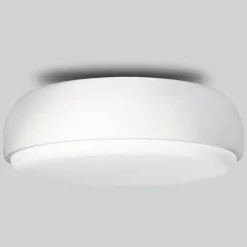 Over Me Wall/Ceiling Light