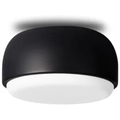 Over Me Wall/Ceiling Light