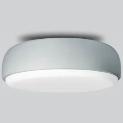 Over Me Wall/Ceiling Light