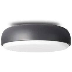 Over Me Wall/Ceiling Light