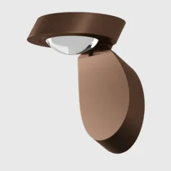 Pin-Up Wall/Ceiling Light
