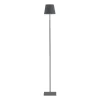Poldina Large Floor/Table Lamp