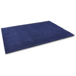 Rah Rah Carpet