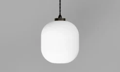 Salon Curve Pendant Lamp