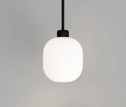 Salon Lite Curve Pendant Lamp