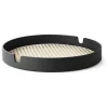 Salon Tray