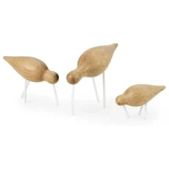 Shorebird