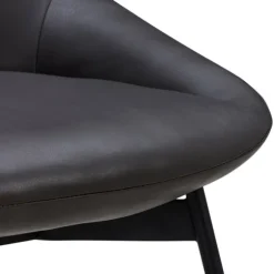 Sinum Dining Chair