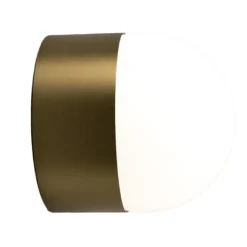Sphere Sur Wall Light