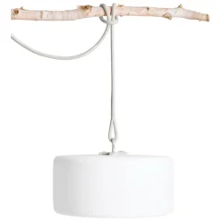 Thierry Le Swinger Light